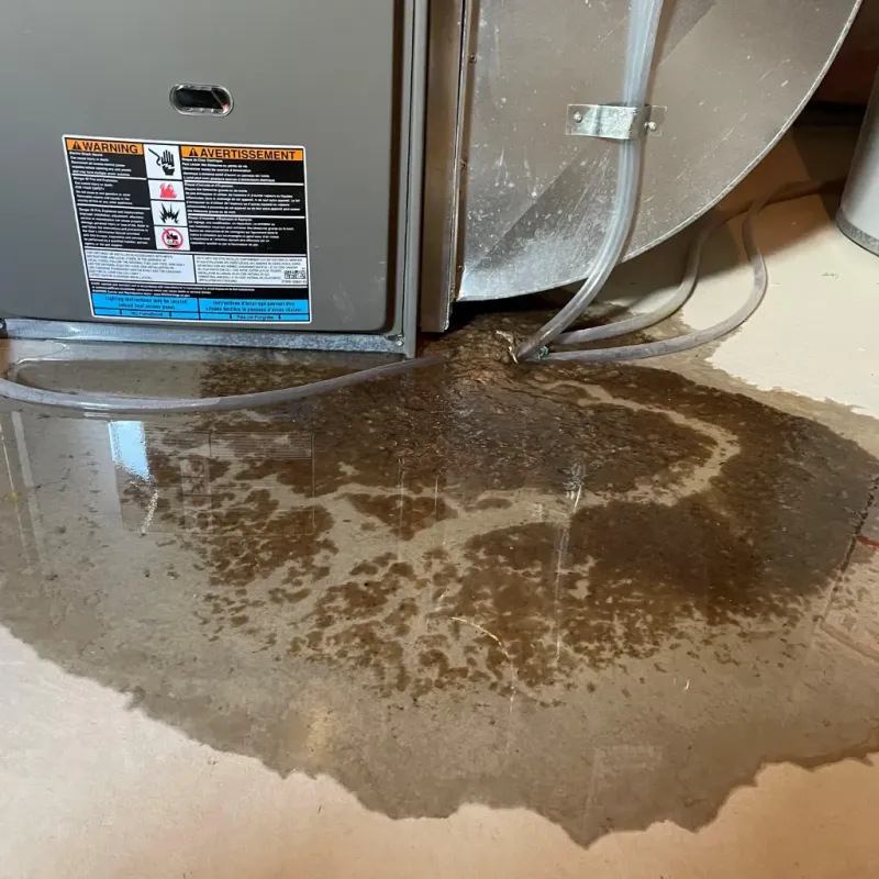 Appliance Leak Cleanup in Florence, AZ
