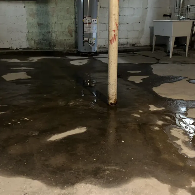 Emergency Water Extraction And Removal in Florence, AZ